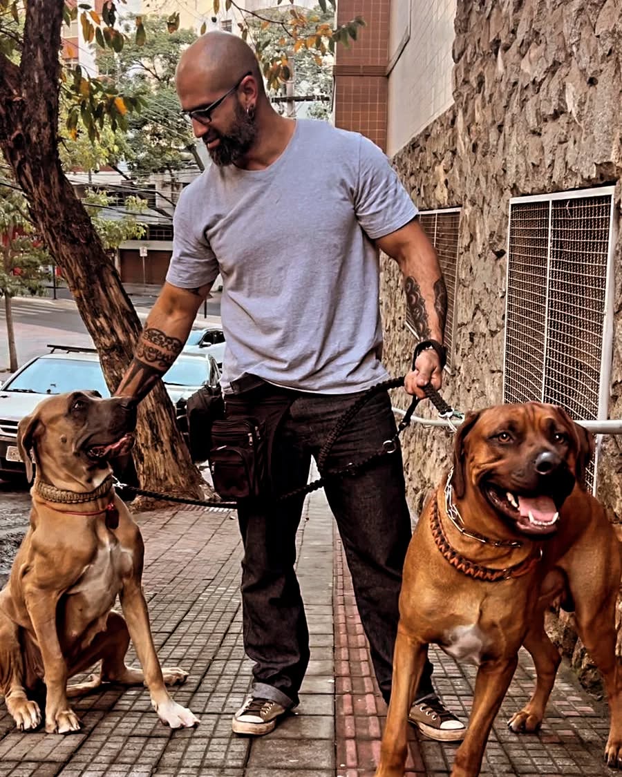 Treinador do CT Big Dog passeando com dois cães de grande porte em Belo Horizonte