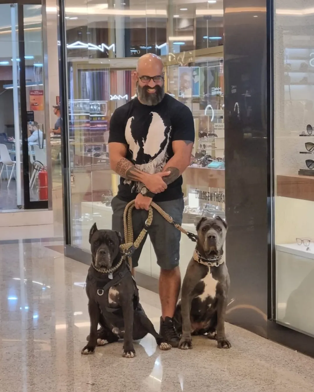 Treinador do CT Big Dog com dois Cane Corso bem comportados em ambiente público